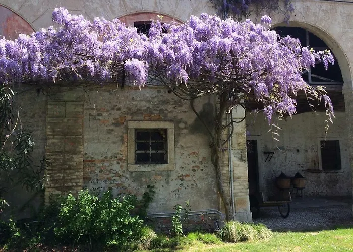 Adelaide Willa Gonàrs